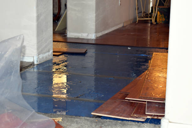Professional Basement Flood Cleanup technician working in Cache Junction, UT